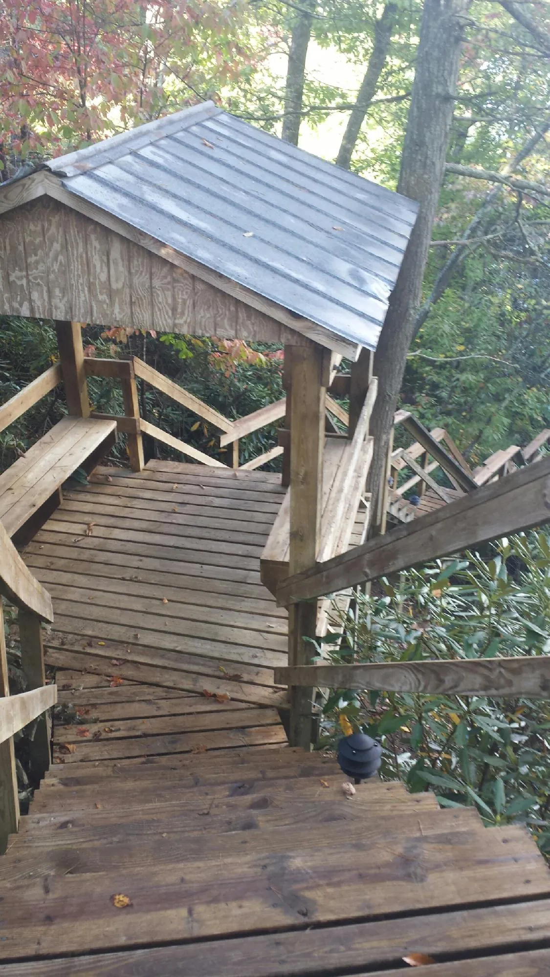Metal roofed shelter over wooden steps on a wooded walkway — Skylight Repair & Installation work by our crew in Nederland
